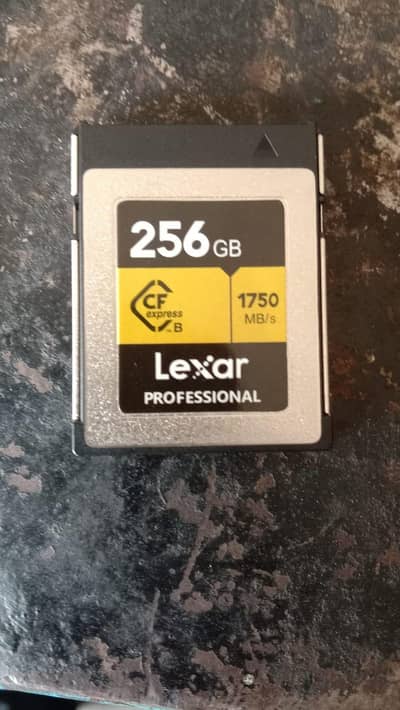 Lezar Professional 256GB XQD