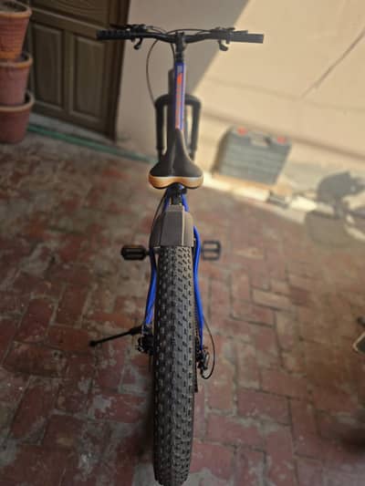 Fat Tyres Bicycle