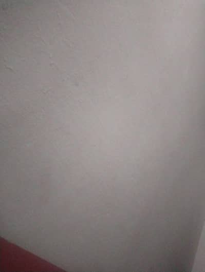 fresh G mail for sale