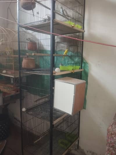 parrots cage