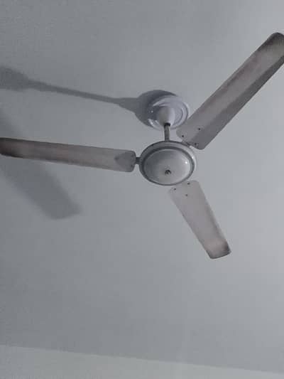 fan for sale