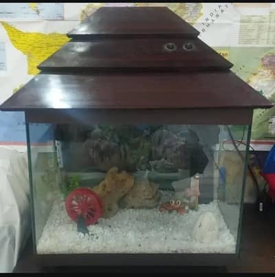 Aquarium | Urgent Sale