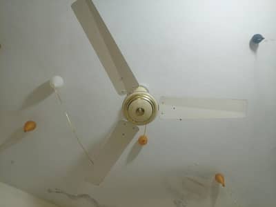 Ceiling fan