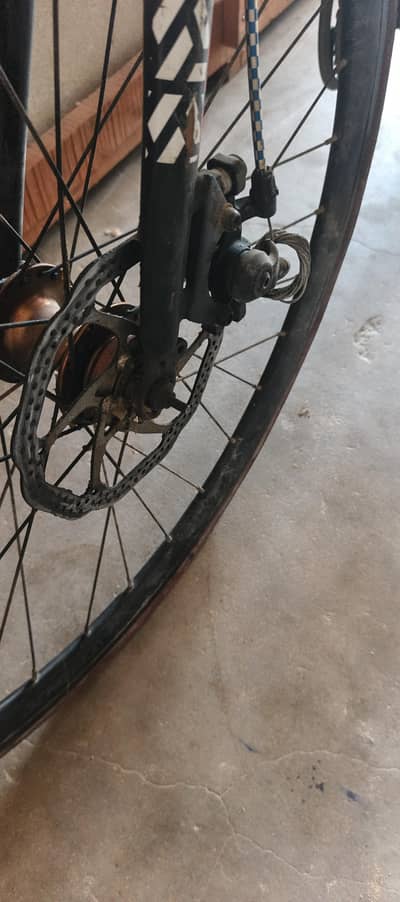 *Trinx Trina Tempo Bicycle for Sale* urgent sale