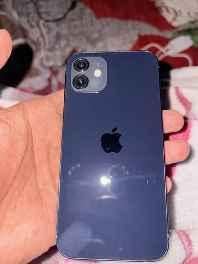I phone 12