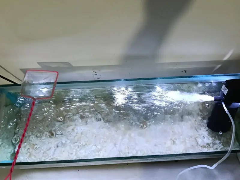 Aquarium (10mm glass) with filter (RS -202) and with free white bajari — photo 2