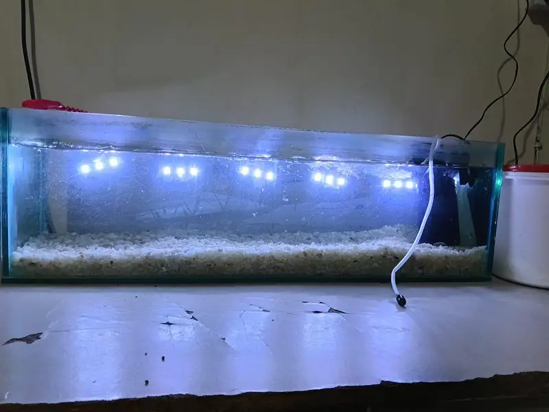 Aquarium (10mm glass) with filter (RS -202) and with free white bajari — photo 3