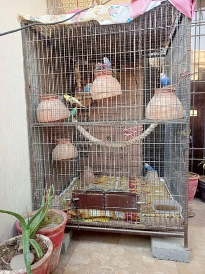 Only cage for sale!