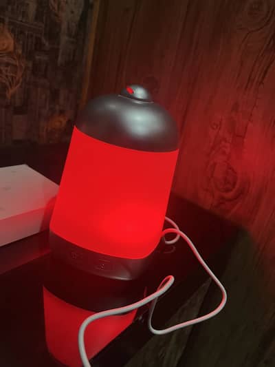 2 pieces  (Humidifier)