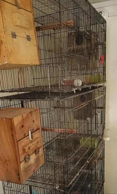 BIRD CAGES SIZE 36" * 18"*18" INCH EACH FOLDABLE