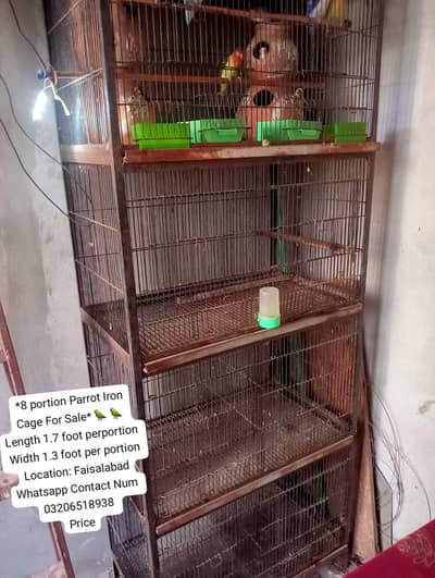 Birds Iron cage