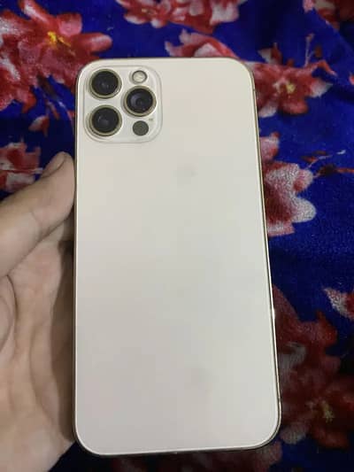 iPhone 12 Pro factory unlocked exchange also possible iPhone read add