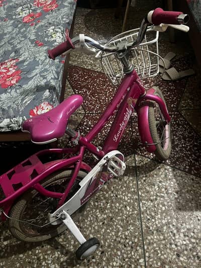 Pink cycle