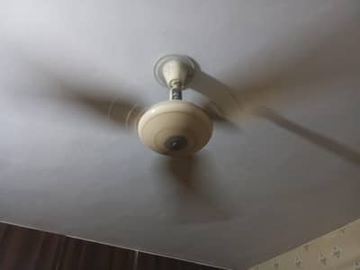 Millat ceiling fan