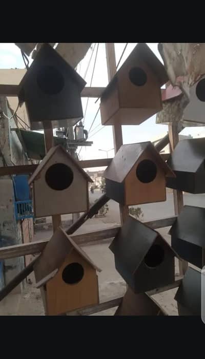 birdhouse available in store in Gujranwala