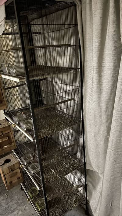 Love birds with cage