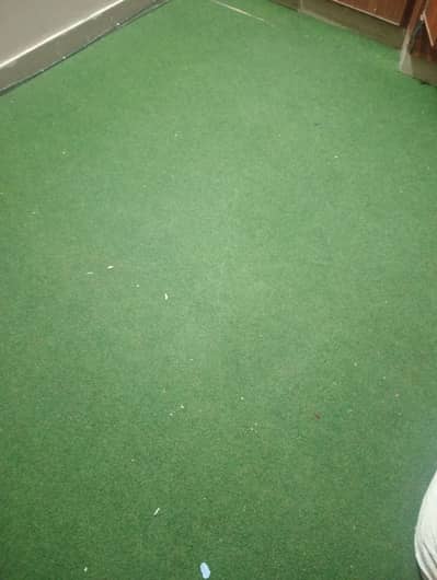 Lounge Carpet For Sell