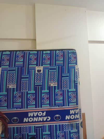 Cannon Foam Mattress