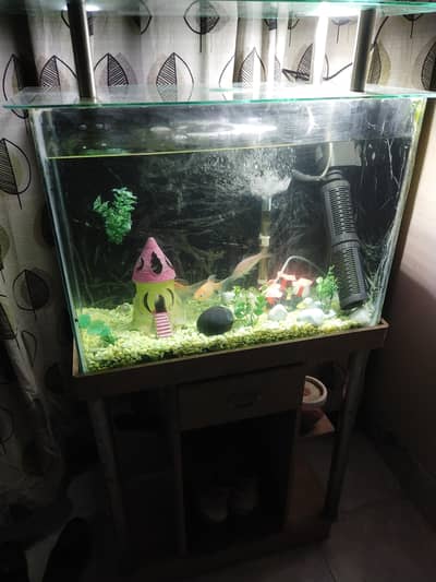 24x12x18 acquarium for sale with complete accessories and 5 fishes