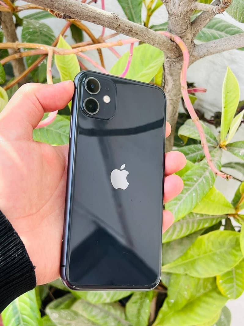 iPhone 11 6