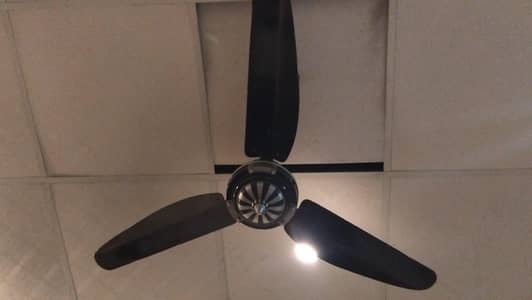Black Color Ceiling Fan