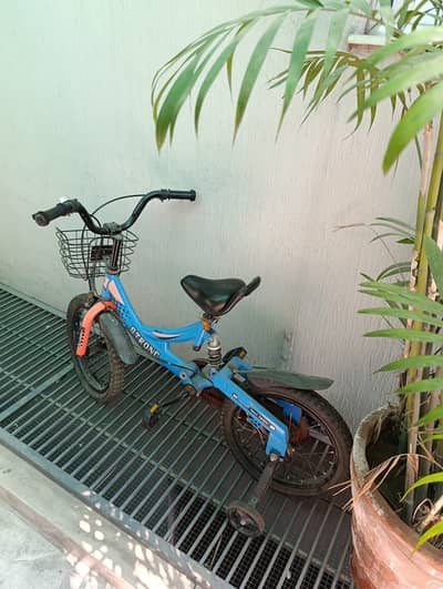Kids tricycle