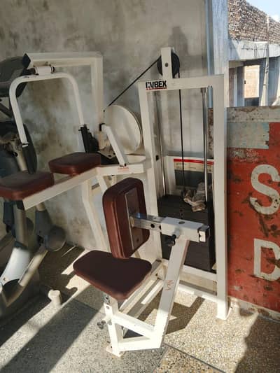 Leg press, Tricep, Elliptical