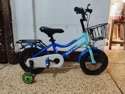 BDF IMPORTED CYCLE - 12 size - 0320/2257/271