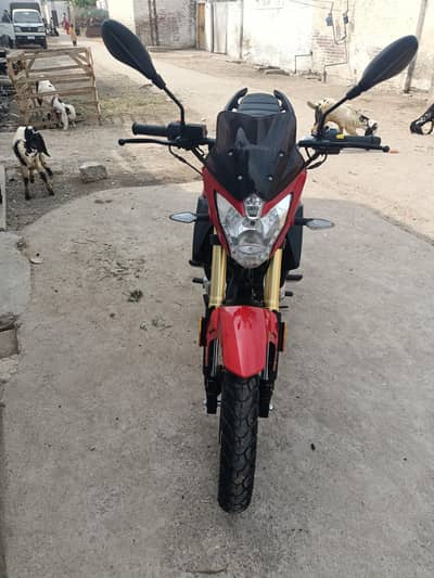 Road prince Wego 2026 model