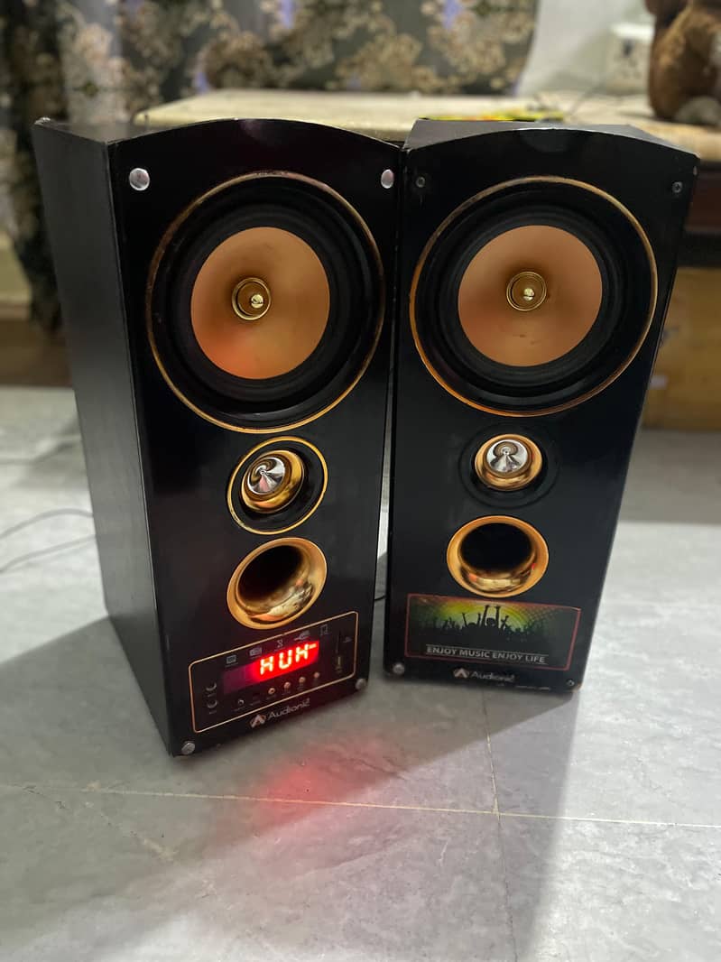 Audionic copper 5 Bluetooth speaker  3