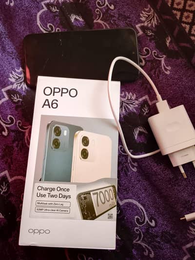 WhatsApp number 03187216076 UI	ColorOS 15