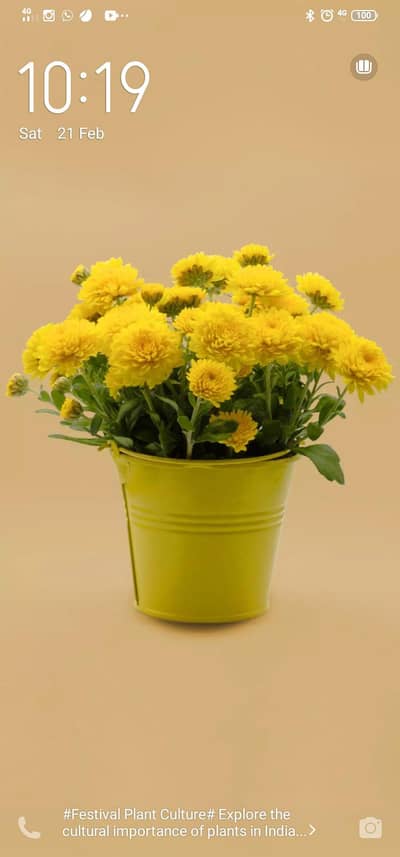 Female House maid required