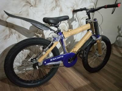 cycle 20 inch / fatty tire cycle