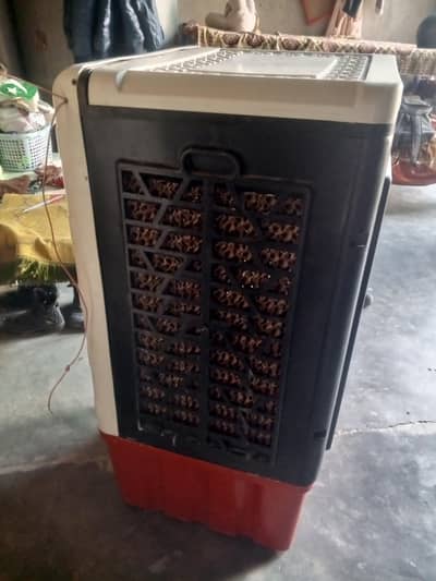 Bilkul fresh conditions