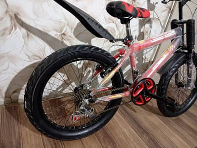bicycle fatty tire with Gear