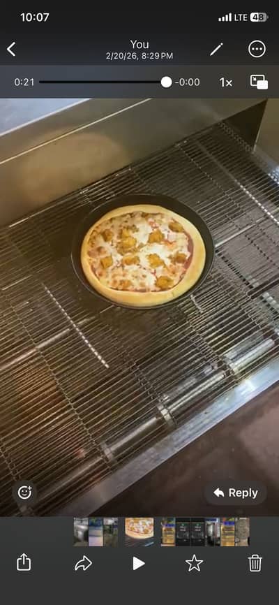 Ark pizza oven