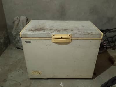 Waves Deep Freezer for Sale - Used Condition