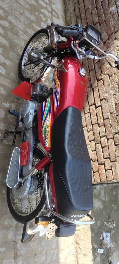 CD70 condition 10/10