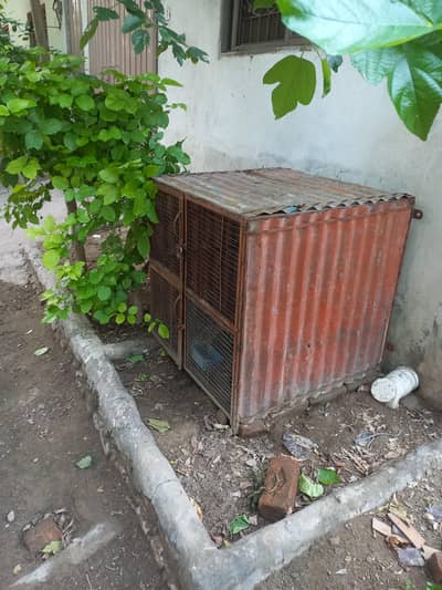 مرغیوں کا  ڈربہ سائز 3×3×3 فٹ مضبوط وزنی بناہوا