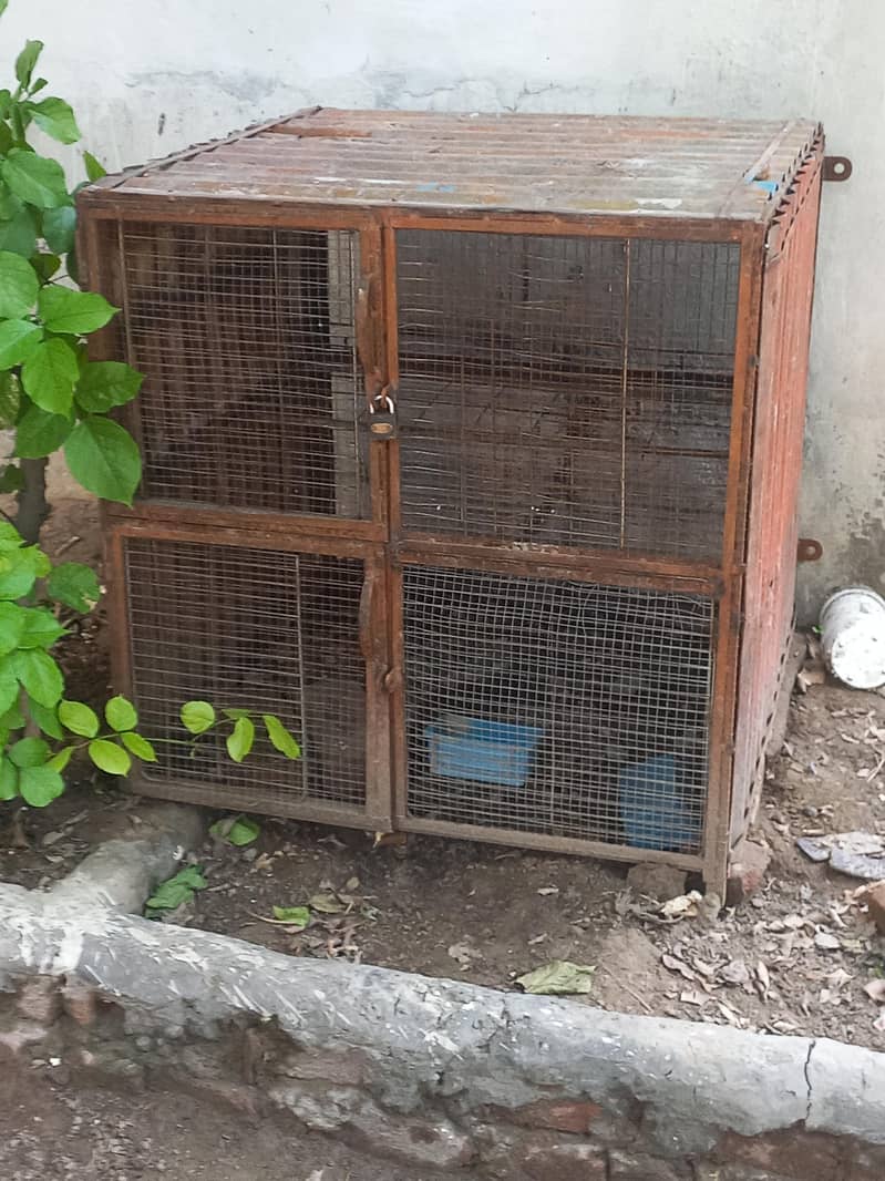 مرغیوں کا  ڈربہ سائز 3×3×3 فٹ مضبوط وزنی بناہوا 1