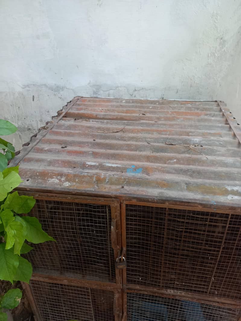 مرغیوں کا  ڈربہ سائز 3×3×3 فٹ مضبوط وزنی بناہوا 3