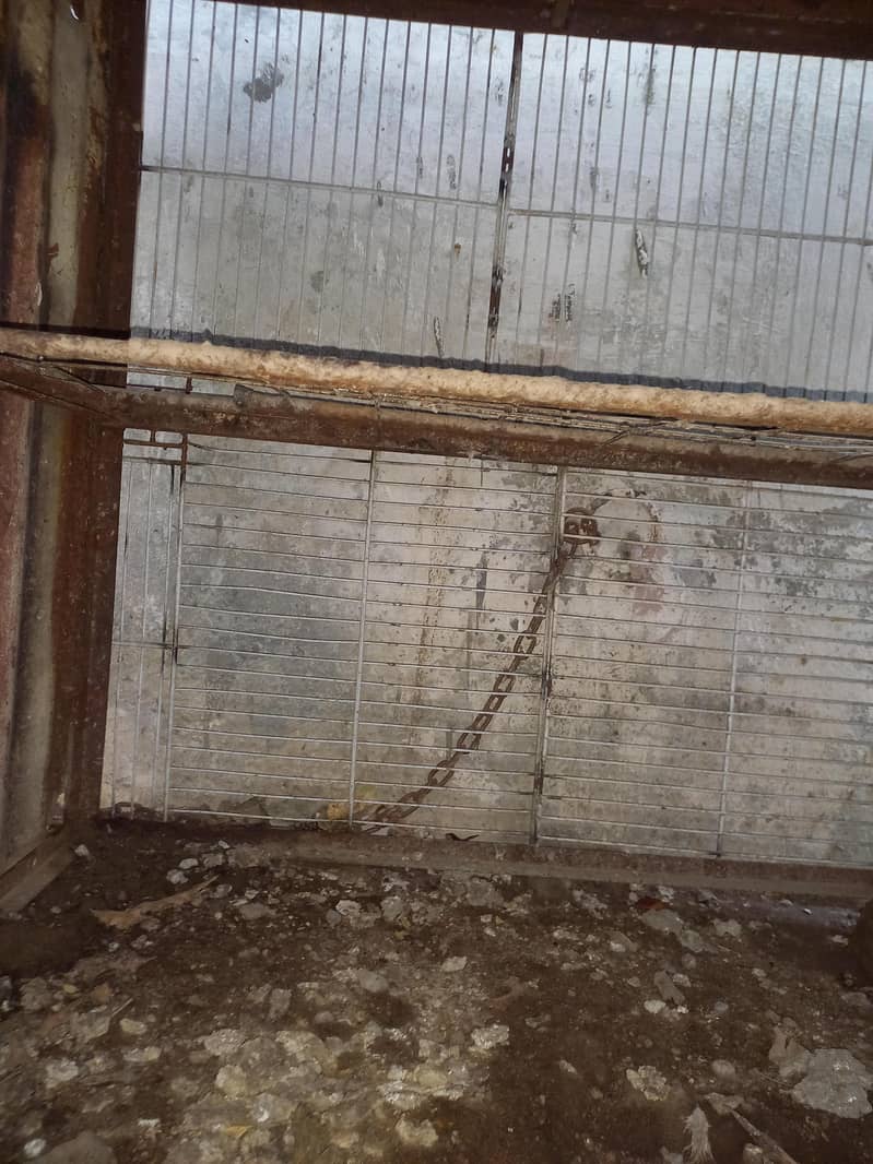 مرغیوں کا  ڈربہ سائز 3×3×3 فٹ مضبوط وزنی بناہوا 6