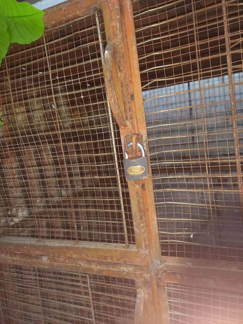 مرغیوں کا  ڈربہ سائز 3×3×3 فٹ مضبوط وزنی بناہوا 7