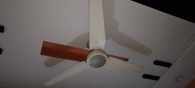 " 4  four star ceiling fans for sale - Good condition"