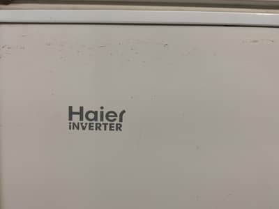 haire deep/chest freezer