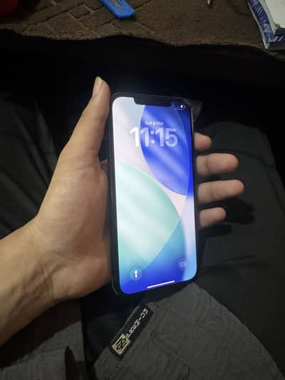 12 pro max 256 GB BLUE COLOR 10 by 10 condition 98 battery health