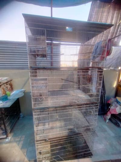 Cage for Birds