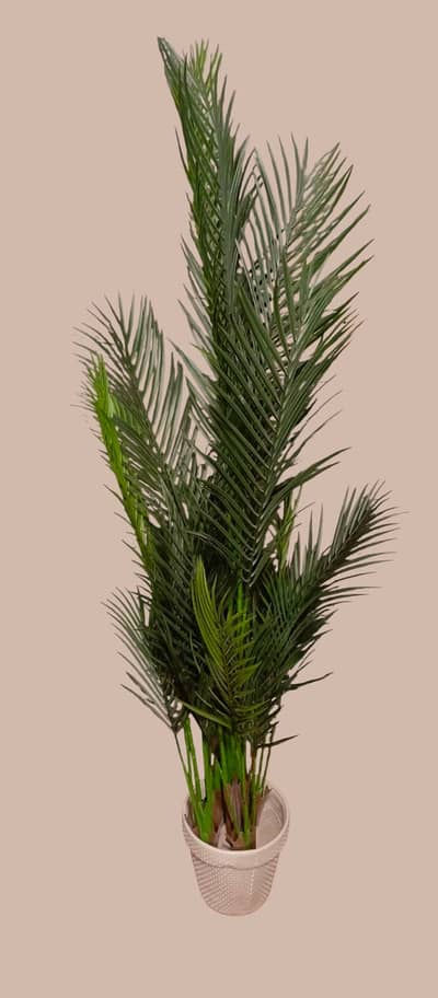 Artificial Plants for Home and office