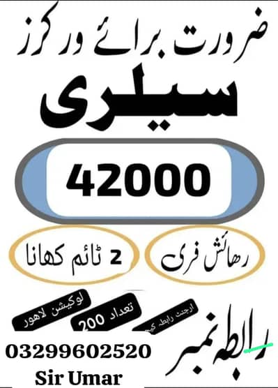 Need urgent staff biscuits packing work male and female required