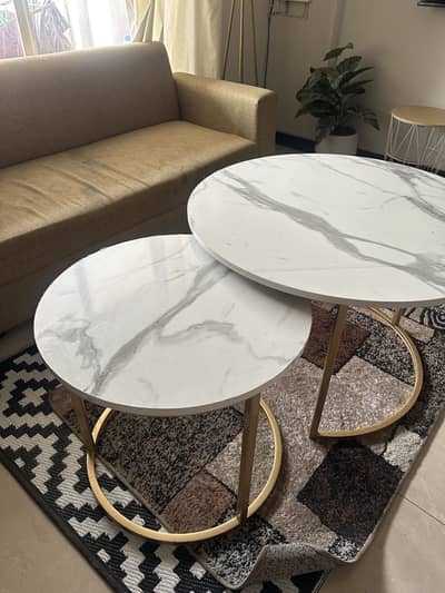 Luxury Marble Top Coffee Tables – Set of 2